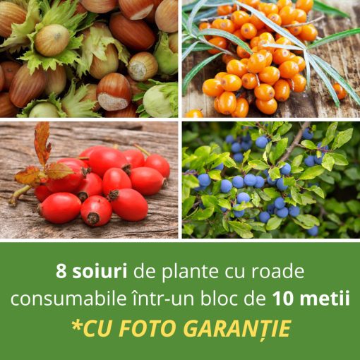 BLOC DE PLANTE CU FRUCTE CONSUMABILE PENTRU 10 METRI 