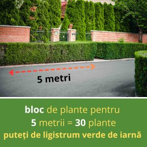 BLOC DE LIGISTRUM VERDE DE IARNĂ PENTRU 5 METRII 